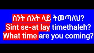 Conversational Amharic PhrasesLearn Amharic Languageአማርኛእንግሊዝኛ [upl. by Crispa423]