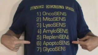 Seven Deadly SENS [upl. by Egedan]