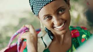 Sinishaw Muleta NAXALAA New Ethiopian Afaan Oromo Music video 2023 Official Video360p 1 [upl. by Chancellor594]