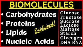 Biomolecules Carbohydrate Glucose Sucrose Protein Nucleic Acid DNA RNA Lipid Cholesterol Steroid Fat [upl. by Krisha]