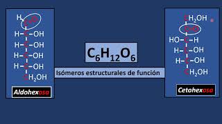 Todo sobre los monosacáridos [upl. by Claudianus725]