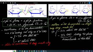 12CB Saccharose và Maltose [upl. by Ispep]