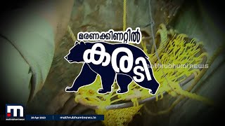 മരണക്കിണറിൽ കരടി   Mathrubhumi News  Vellanad  Bear in well [upl. by Xaviera792]