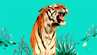 StoryBots  Wild Animal Songs Tiger Lion Zebra Rhino  Learning Songs for Kids  Netflix Jr [upl. by Nialb]