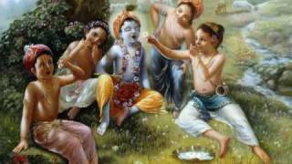 Hare Krishna Vaiyasaki das [upl. by Kaye]