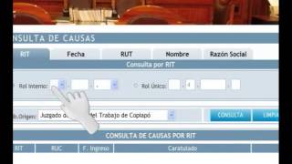 Consulta de causas a través del Portal de Internet del Poder Judicial [upl. by Rosenkranz313]