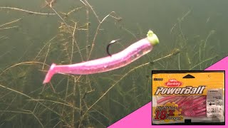 Berkley Powerbait 2 12 inch TTail Minnow  Underwater Lure Action For Fishing [upl. by Inajna]