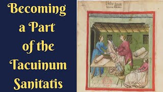 Recreating a scene from the Tacinum Sanitatis 15thCinTheory [upl. by Drofliw]