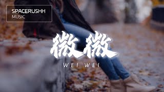 微微 Wei Wei  傅如乔 Fu Ru Qiao 拼音 PINYIN LYRICS [upl. by Nonnahsal]