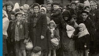 The Auschwitz Album Visual Evidence of the Process Leading to the Mass Murder at AuschwitzBirkenau [upl. by Guillermo]