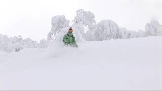 Skiing in the deep Niseko Powder Japan ニセコ niseko skiing hokkaido [upl. by Llednol]