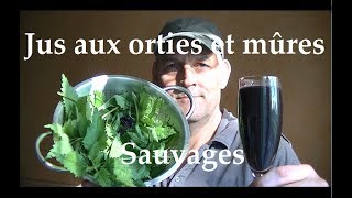 Jus dortie et mûres sauvages un cocktail vitaminé pour vôtres santés [upl. by Asia]