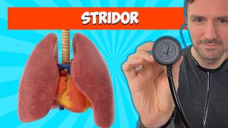 Stridor Lung Sounds For Beginners 🔥🔥🔥 lungsounds [upl. by Zanlog]