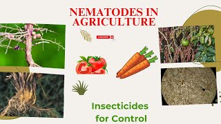 Nematodes in Agriculture Identifying Symptoms and insecticides for Control [upl. by Nylecsoj670]