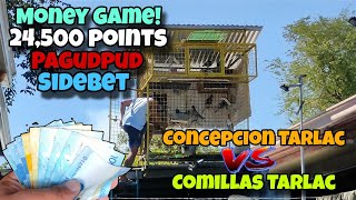 COMILLAS TARLAC VS CONCEPCION TARLAC  24500 POINTS ANG PUSTAHAN  KARERA NG KALAPATI [upl. by Potash]