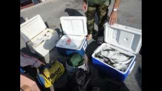 momenti di pesca del 24 settembre 2012 sulla motonave Delfino Biancowmv [upl. by Tripp175]