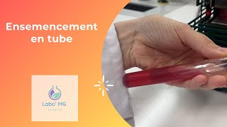 Microbiologie  Technique d’ensemencement par stries et piqûre centrale en tube [upl. by Adyaj]