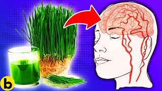 17 Wheatgrass Health Benefits That You SHOULDNT IGNORE [upl. by Eeneg]