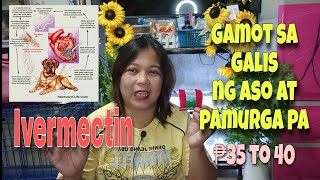 IVERMECTIN MABISANG GAMOT SA GALIS NG ASO AT PAMORGA PA MADALI LANG GAMITIN [upl. by Stavro]