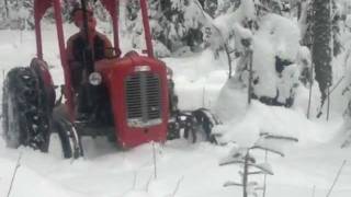 Massey ferguson 35 in snow [upl. by Merth]