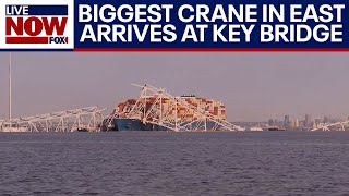 Baltimore bridge collapse Largest crane on eastern seaboard used to move ship  LiveNOW from FOX [upl. by Pike]