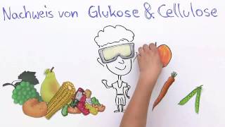 Nachweis von Glukose und Cellulose  Biologie  Stoffwechselbiologie [upl. by Alrrats807]