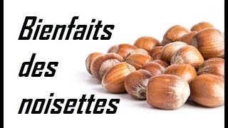 Les bienfaits des noisettes [upl. by Jehanna]