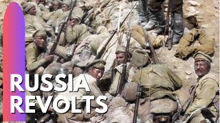 Russia Revolts in 1917  Democracy is given a chance [upl. by Neehsuan203]