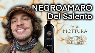 NEGROAMARO DEL SALENTO🍷 che BOMBA⚠️🔥 [upl. by Ajan]