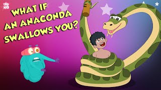 What If An Anaconda Swallows You  Swallowed By An Anaconda  Dr Binocs Show  Peekaboo Kidz [upl. by Enyaw61]