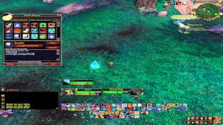 Beast Mastery Hunter Macro Guide MoP 505 [upl. by Asseniv507]