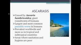 Parasitology Ascariasis Ascaris lumbricoides [upl. by Annayoj199]