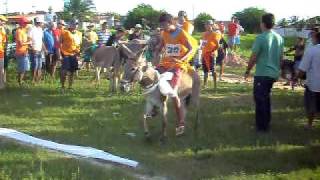 Corrida de Jegue 2009 [upl. by Oleg382]