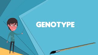 What is Genotype Explain Genotype Define Genotype Meaning of Genotype [upl. by Ransom]