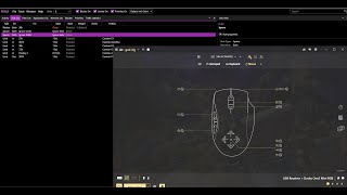 AIM ASSIST ON MnK  Destiny 2 REWASD BEST SETTINGS FREE XIM CONFIG [upl. by Corbet868]