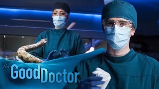 Dr Shaun explores some of the most unique medical mysteries of all time  The Good Doctor [upl. by Washington]