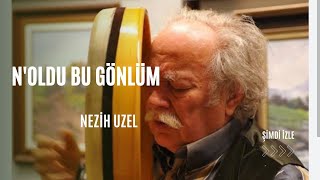 Noldu Bu Gönlüm Nezih Uzel zikir music [upl. by Harret]