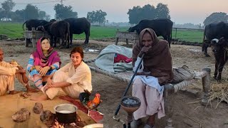 Naran Kaghan to Gilgit via Babusar Top Chilas Karakoram Highway Pakistan Urdu Travel Documentary [upl. by Schiro]