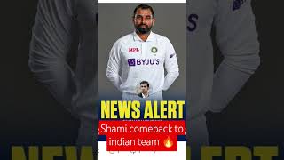 Shami comeback to indian team🔥shortscricketnewsmohammed shamiyellowversionbcciicc [upl. by Rie649]