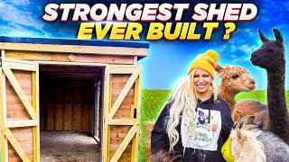 We Built The Strongest Hay Shed For Jodie Marsh [upl. by Alica]