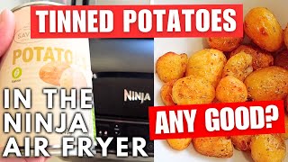 Tinned Potatoes In The Airfryer Any Good airfryer cooking money [upl. by Oinegue]