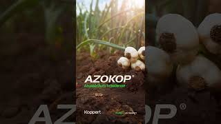 AZOKOP 💚 Formulado con 𝘼𝙯𝙤𝙨𝙥𝙞𝙧𝙞𝙡𝙡𝙪𝙢 𝙗𝙧𝙖𝙨𝙞𝙡𝙚𝙣𝙨𝙚 [upl. by Messab496]