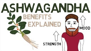 ASHWAGANDHA BENEFITS What Ashwagandha Is And How It Works [upl. by Reaht348]