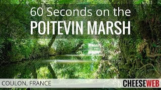 60 Seconds on the Poitevin Marsh in Coulon France [upl. by Toomay]