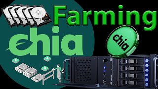 How to farm chia setup wallet node pools and plotting step by step [upl. by Parfitt678]