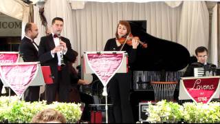 20110506 Barcarolle Gondoliers Song at Venice St Marks Square [upl. by Laeahcim499]