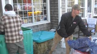 Oysters and clams arrive at Wellfleet OysterFest [upl. by Irena]