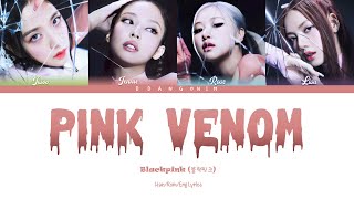 BLACKPINK 블랙핑크  Pink Venom Color Coded Lyrics [upl. by Demmahom]