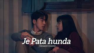 Je Pata hunda nimra Mehra lofi slowed sad lyrics 🎶ASsinger1 [upl. by Quiteris]