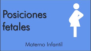 Posiciones Fetales  Materno infantil  video 3 [upl. by Joanna]